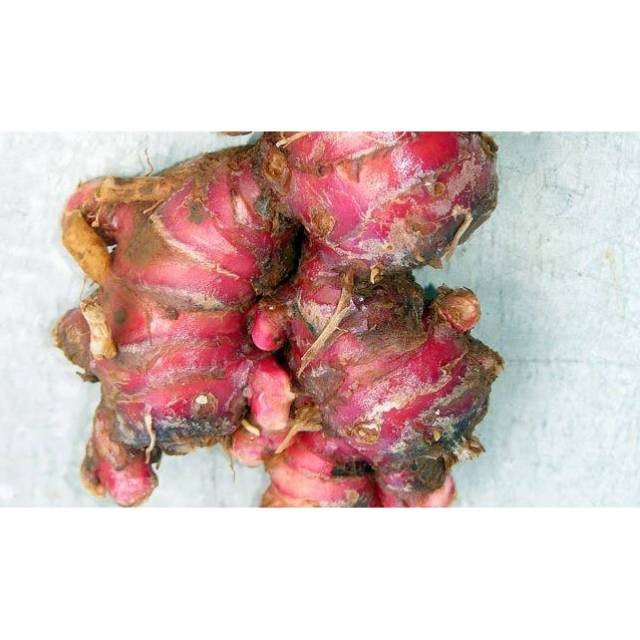 

Jahe Merah Jahe Putih / Bumbu Dapur