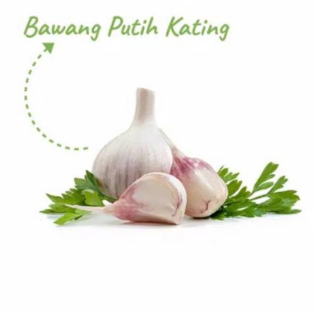 

Bawang Putih / Berat 500 gram