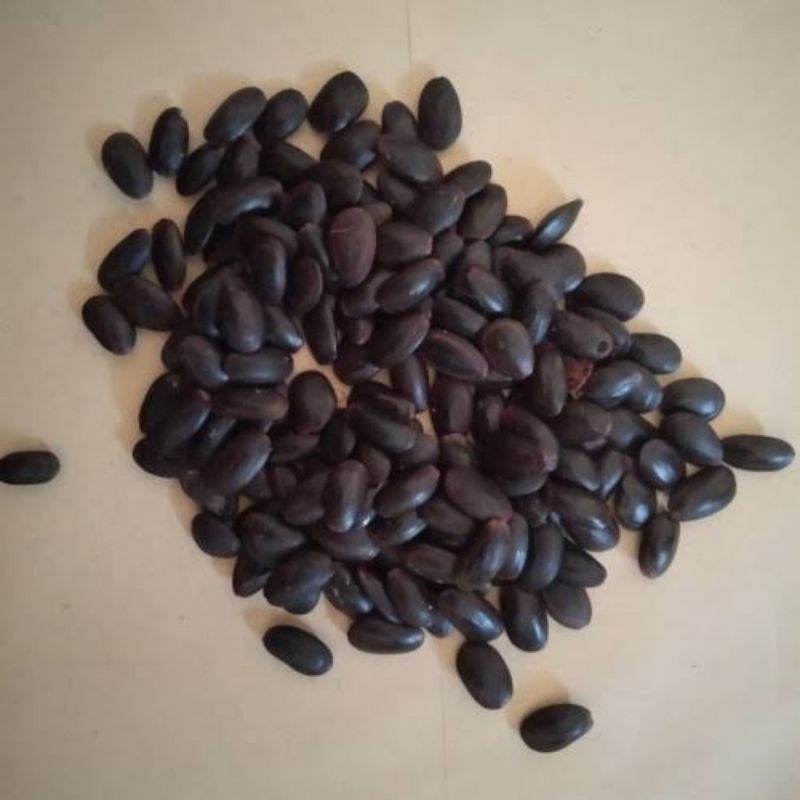 

Biji Kedaung / Rempah Kedaung / Berar 100 gram