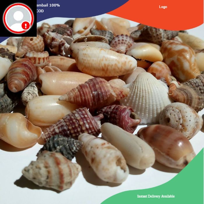 

Kulit Kerang / Cangkang Kerang Campur (020) 500gr