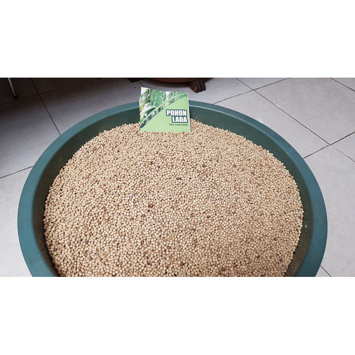 

Lada Putih Bangka Bangka 1kg Butiran