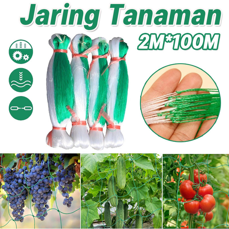 100M*2M Jaring Merambat Kuat Buah Anggur Sayuran Plant Climbing Net/Jaring Net Rambatan Tanaman