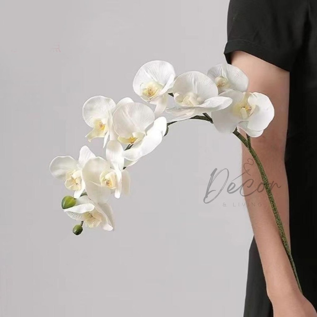 Bunga Anggrek Plastik Premium 68CM 8 Bunga Anggrek Bulan Anggrek Hias Dekorasi