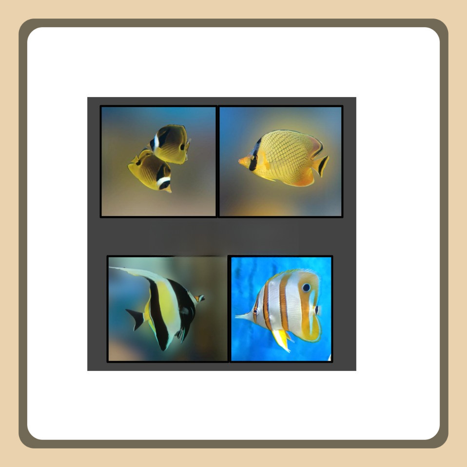 Ikan Hias Air Laut Morish Idol / Angel Fish / Botana / Butterflyfish