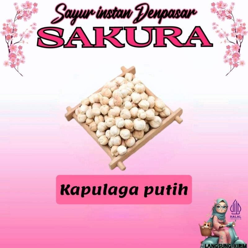 

New Kapulaga putih _ SAKURAPremium