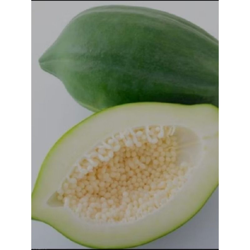 

termurah pepaya muda segar fres di jual satuan dengan bobot -+500_ 1kg