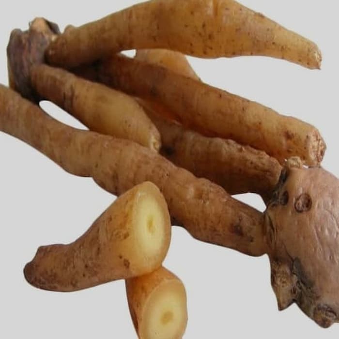 

temu kunci segar 1 kg Rempah_herbalCo