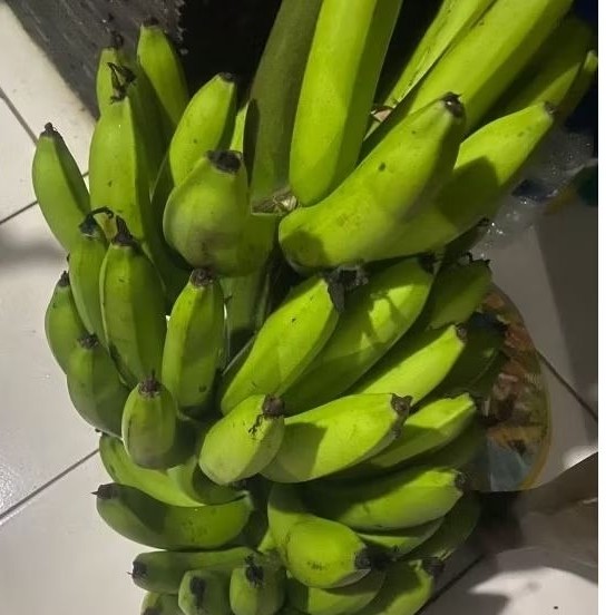 

Buah Pisang Mentah Erbe RB SL Hitam Pisang Bangkaulu Fresh