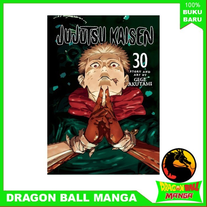 Komik manga Jujutsu Kaisen, Vol 30  (English)