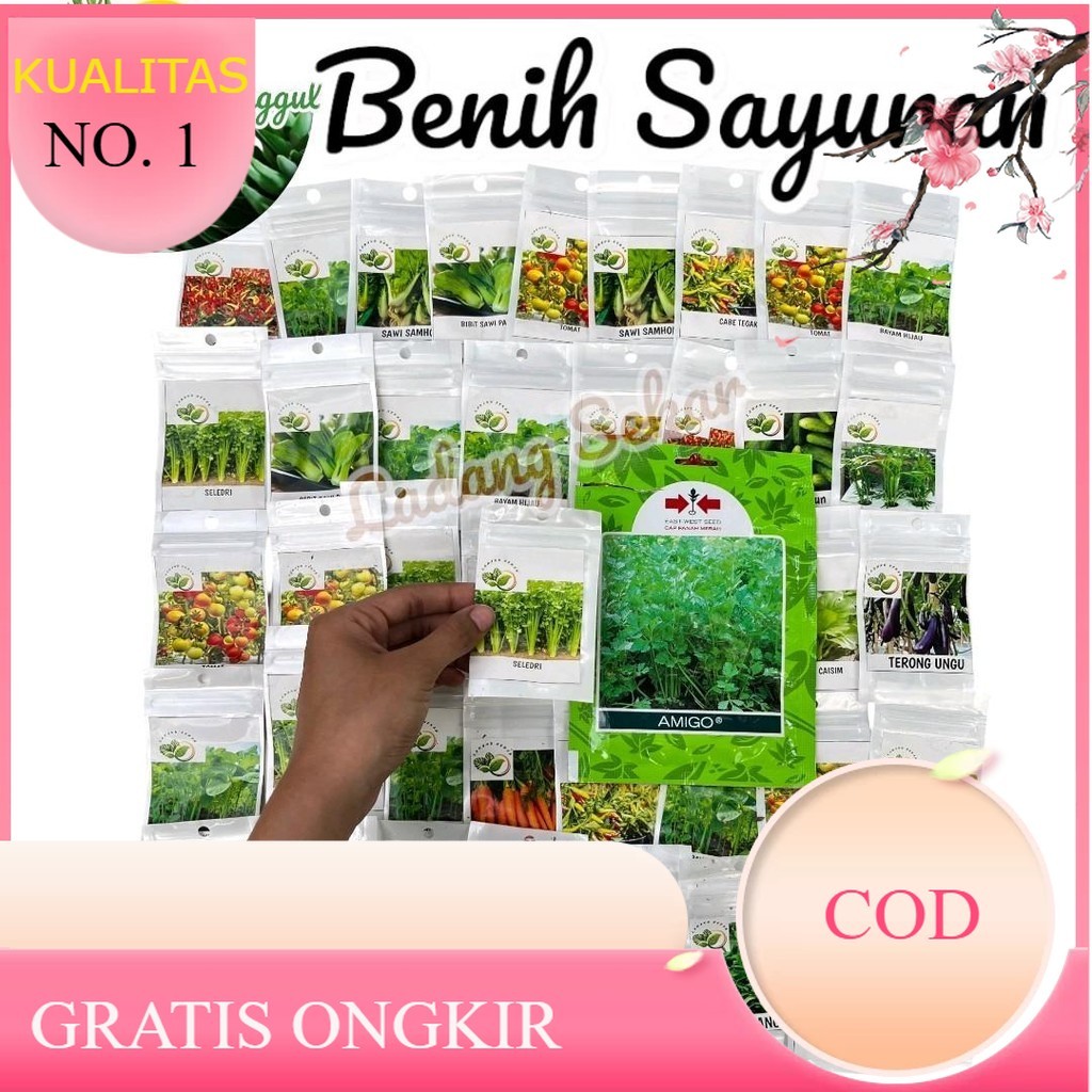 Kemasan Benih Sayuran Lengkap Benih Seledri -+ 400 Butir + Benih Unggulan Seledri Siap Tanam + Benih