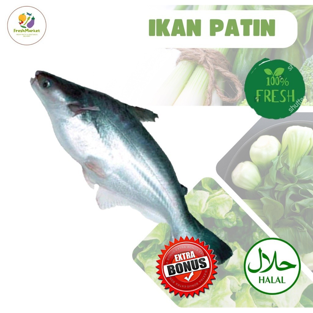 

Ikan Patin Segar Kualitas Super 1 Kg Sayurinstant