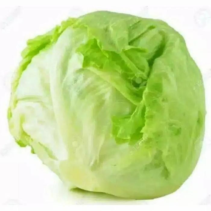 

LETTUCE / LETTUCE HEAD / SELADABULAT 500GRAM