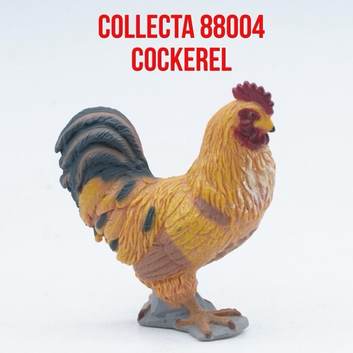 Collecta 88004 Cockerel Chicken Ayam Jantan Gallus gallus domesticus Binatang Figure Pajangan Mainan