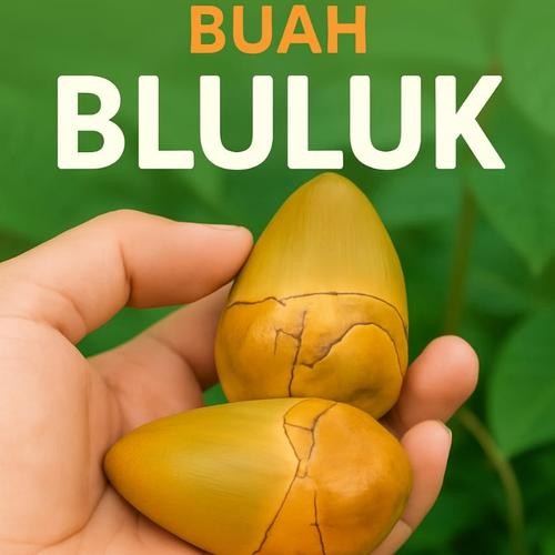 

SGN12 - Beluluk Kelapa Muda Fresh Bluruk Tembuluk Obat Herbal Diabetes Cengkir Per 10 Biji