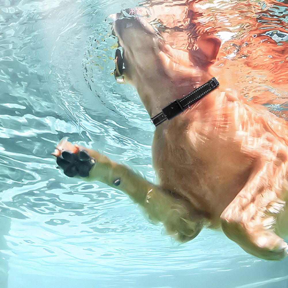 Pet GPS Tracker with Adjustable Collar Dog Tracker Smart Pet Locator Cat Tracker for Dogs and Cats