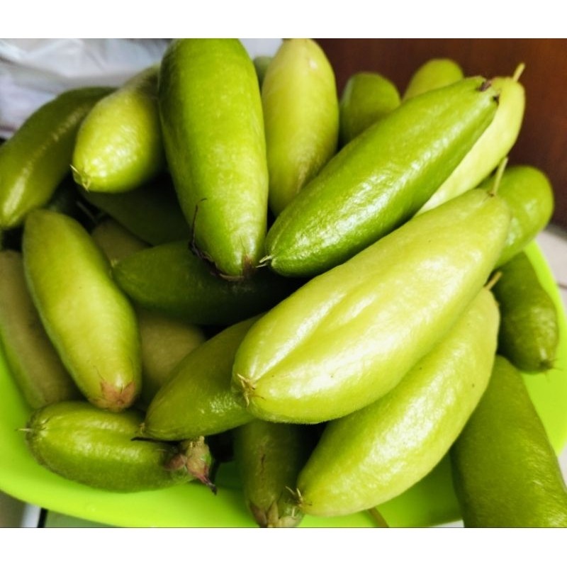 

[RS] Belimbing Wuluh SEGAR 200gr