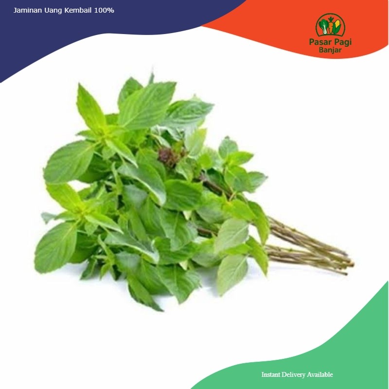 

Kemangi Segar Per Ikat Kecil