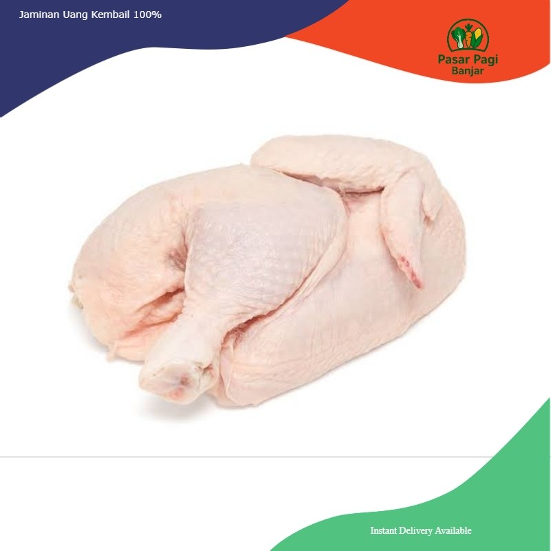 

Ayam Potong Sebelah Segar