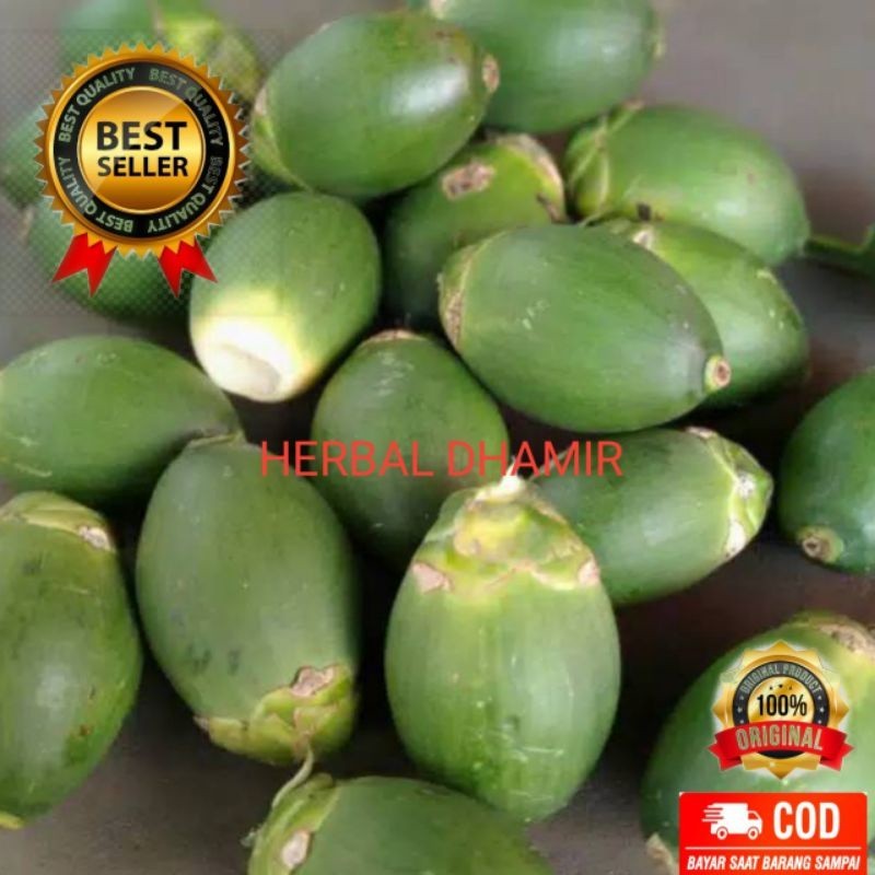 

PROMO BUAH PINANG MUDA SEGAR 500 gram ak