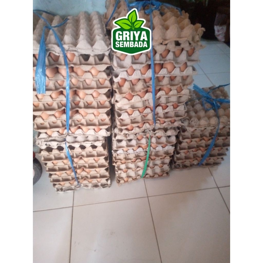 

Telur Ayam Negeri Grade A Isi 5 Kg Griya Sembada