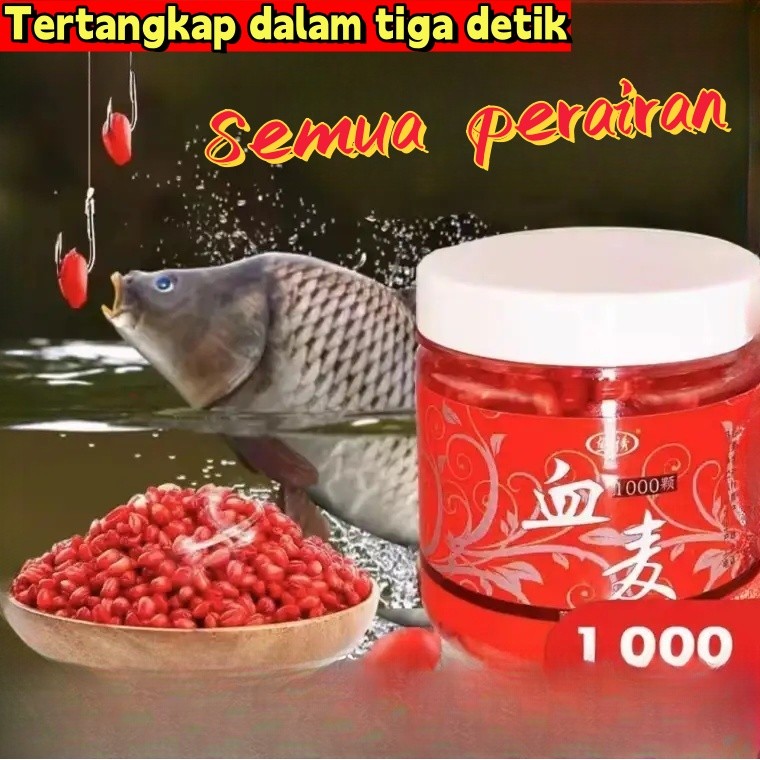 Umpan Ikan Mas Dapat Menangkap Ikan 1000 Kali 100% Terperangkap Umpan Ikan Stimulant Bubuk Penarik C