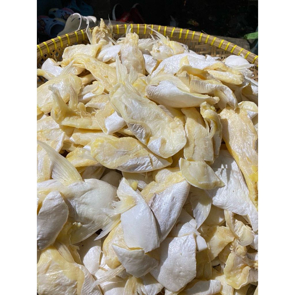 

Ikanasin Patin Bagian Perut Bawah Patin Harga Mumer