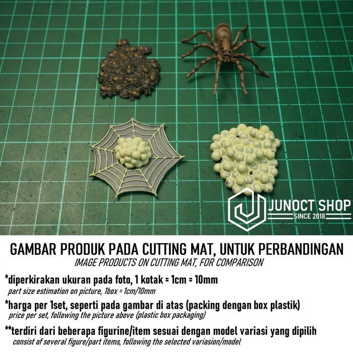 Hadiah Miniature Hewan Edukasi Siklus Hidup Laba-Laba Box Plastik - Mainan Edukatif Life Cycle Spide