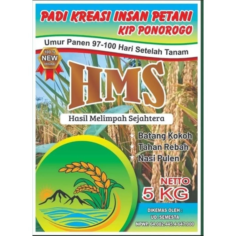 BENIH PADI HMS, BENIH PADI UNGGUL