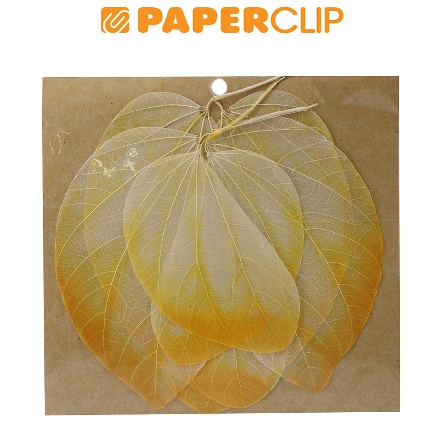 

TULANG DAUN KUPU-KUPU