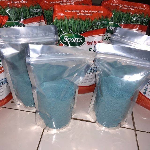 Benih bibit rumput golf - jepang dan gajah mini 20 gram Rumput Hidup