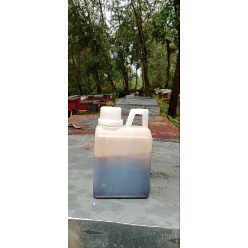 

MADU HUTAN LIAR KEMASAN 500 Grm