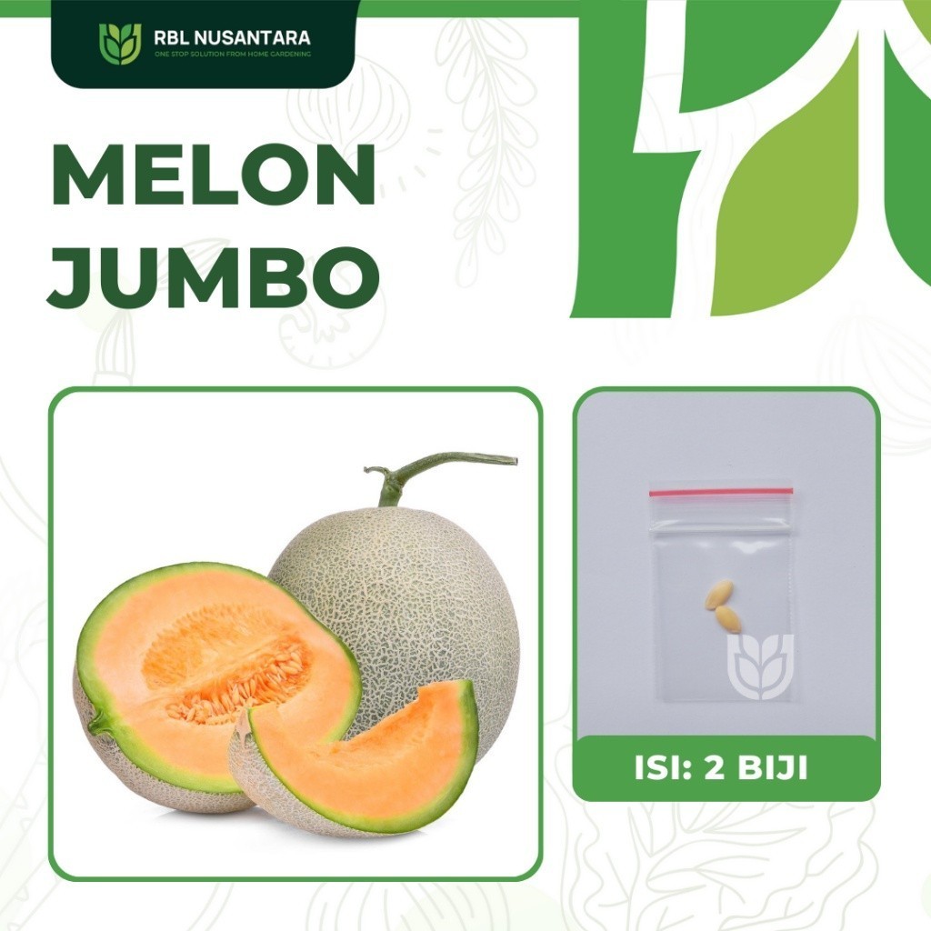 2 Benih Melon Jumbo F1 Hibrida Bibit Buah Melon Golden
