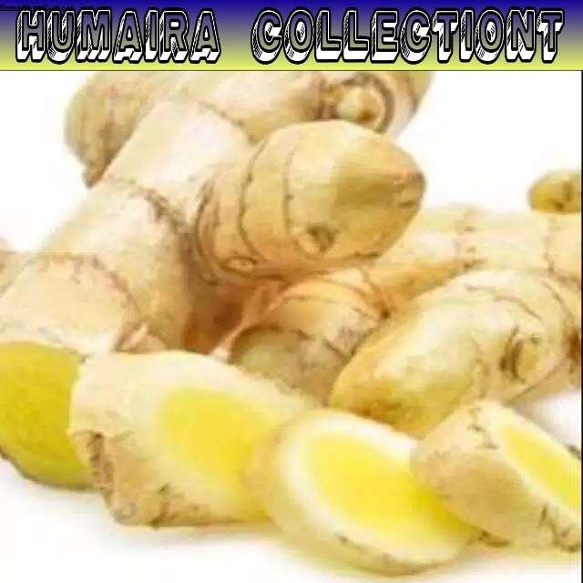 

herbal Temu Mangga Segar (curcuma Zedoaria) 1kg Humaira Collectiont