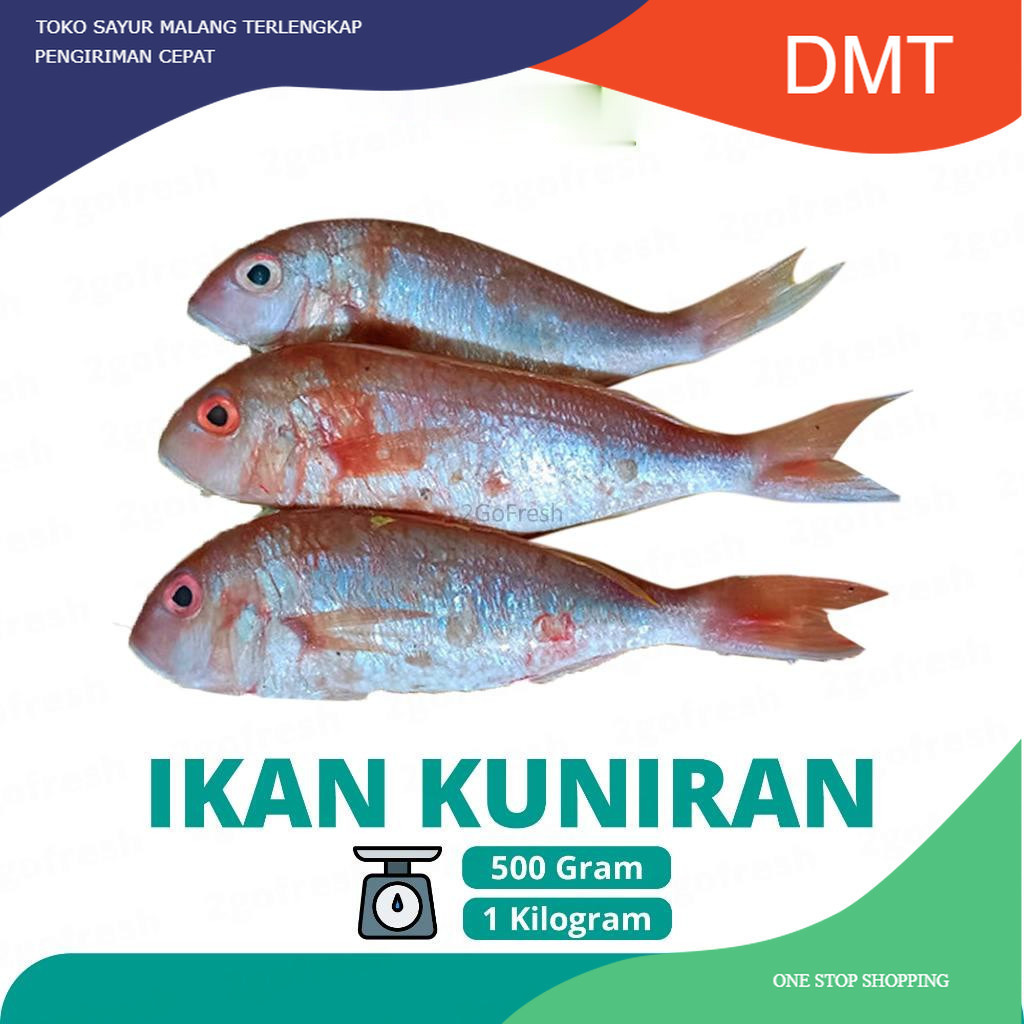 

Ikan Kuniran Fresh - Sayur Sayuran