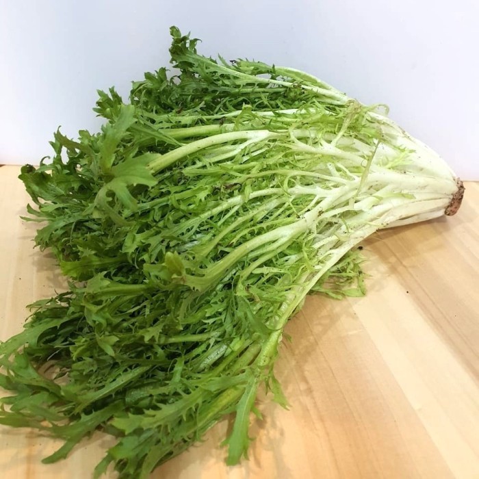 

LETTUCE ENDIVE (pack 250g)