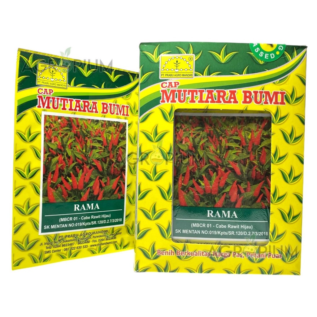 Benih Cabe Rawit Hijau RAMA Isi 10 gram Cap Mutiara Bumi