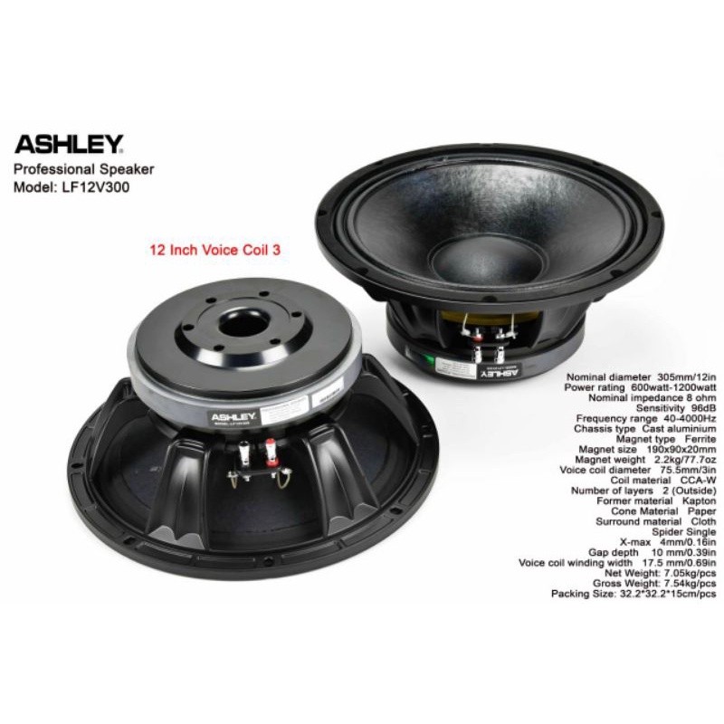 PROMO TERBATAS speaker ashley 12v300 / speaker 12 inch