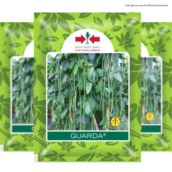 Benih Kacang Panjang Cap Panah Merah GUARDA/GARDA 200 Butir