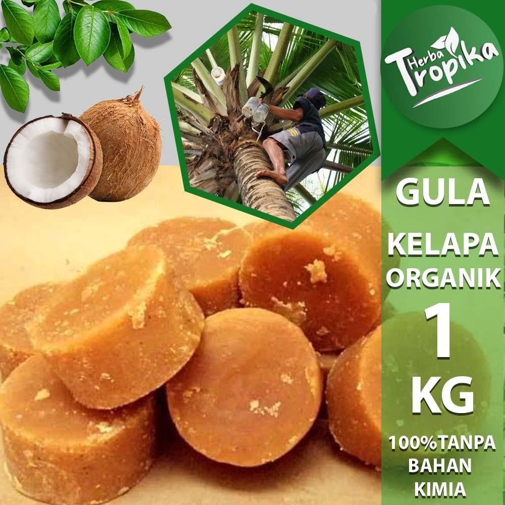 

Gula kelapa Organik Premium 1 kg kemasan daun kelapa tua toko herba tropika