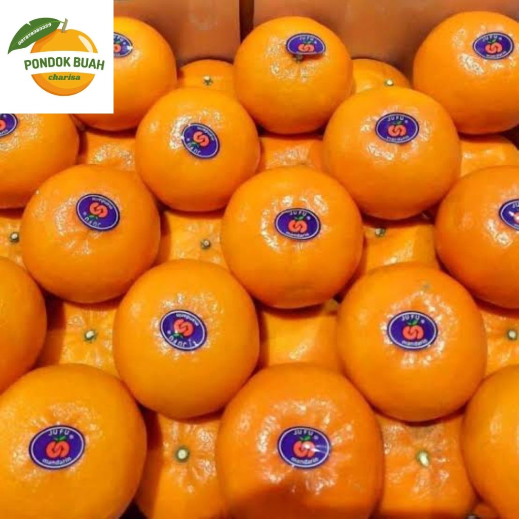 

jeruk wogan premium harga per dus 9kg buah fresh