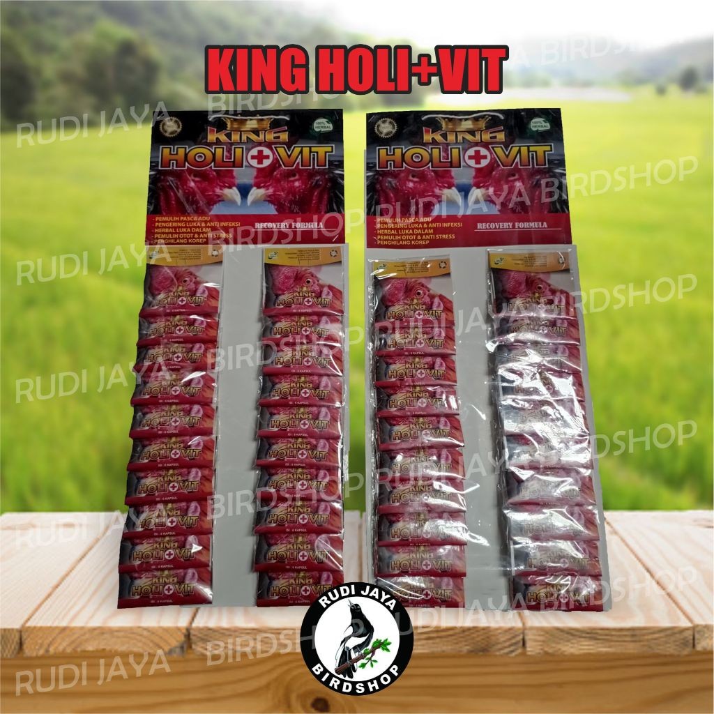 SEDIA KING HOLI+VIT 1 RENTENG OBAT JAMU AYAM SAKIT KOREP KURAP BURAS KAMLANG LUKA DALAM RECOVERY