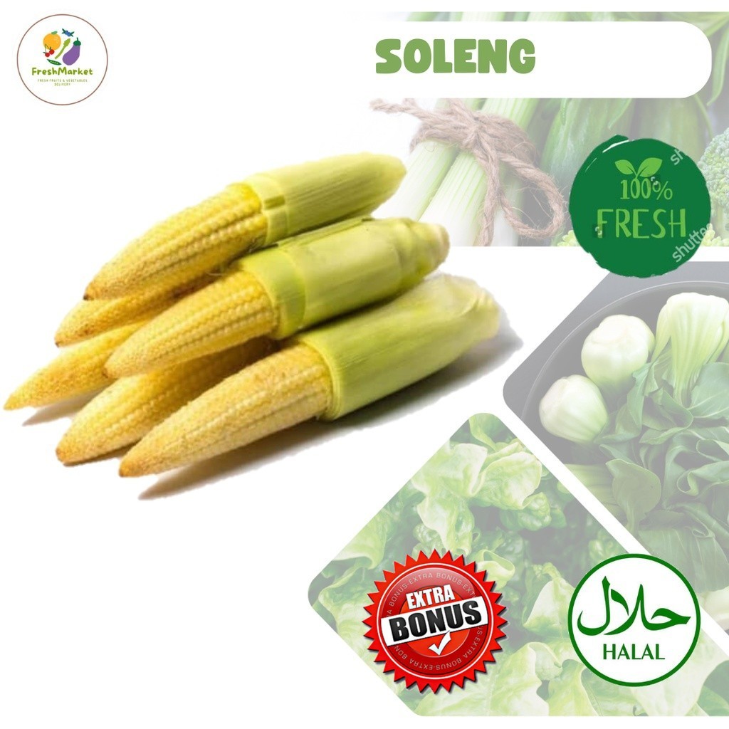 

Soleng Jagung Muda Baby Corn Sayur Lalapan 500 Gram Sayurinstant