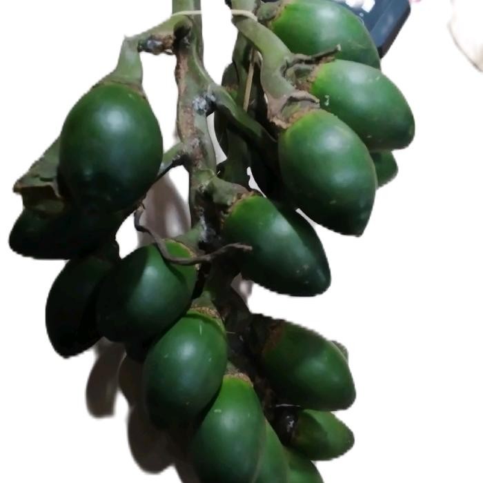 

pinang jambe muda 500 gram Shop with