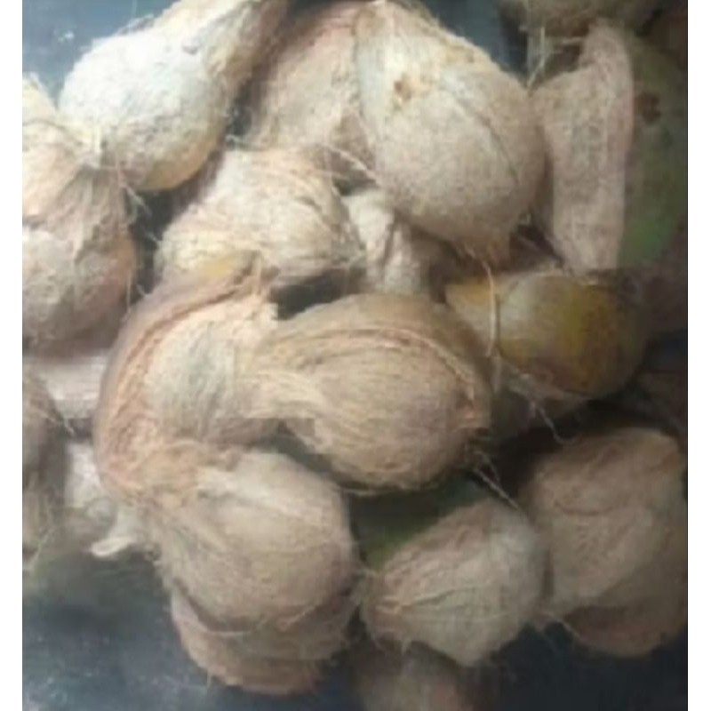 

kelapa l kelapa sudah kupas l kelapa tua l kelapa