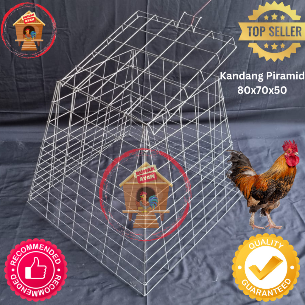 Kandang Ayam / Kurungan Ayam Bahan Galvanis Bentuk PIRAMID / TRAPESIUM