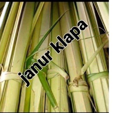

Janur kuning 10 pcs daun klapa bahan ktuppat
