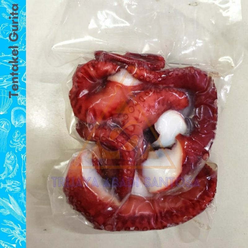 

Tentakel Gurita / Tako Leg / Kaki Gurita Premium