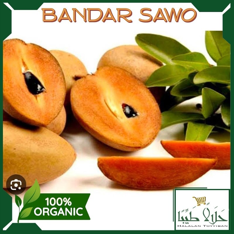 

BANDAR Buah Sawo Madu Manis 1 Kg Baru Petik Segar Murah Fresh