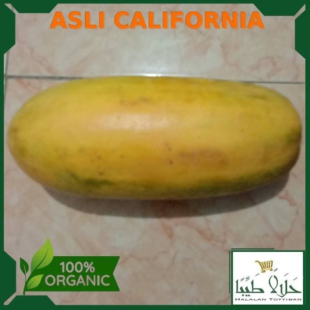 

Pepaya california sayur bandung Per 1 Buah