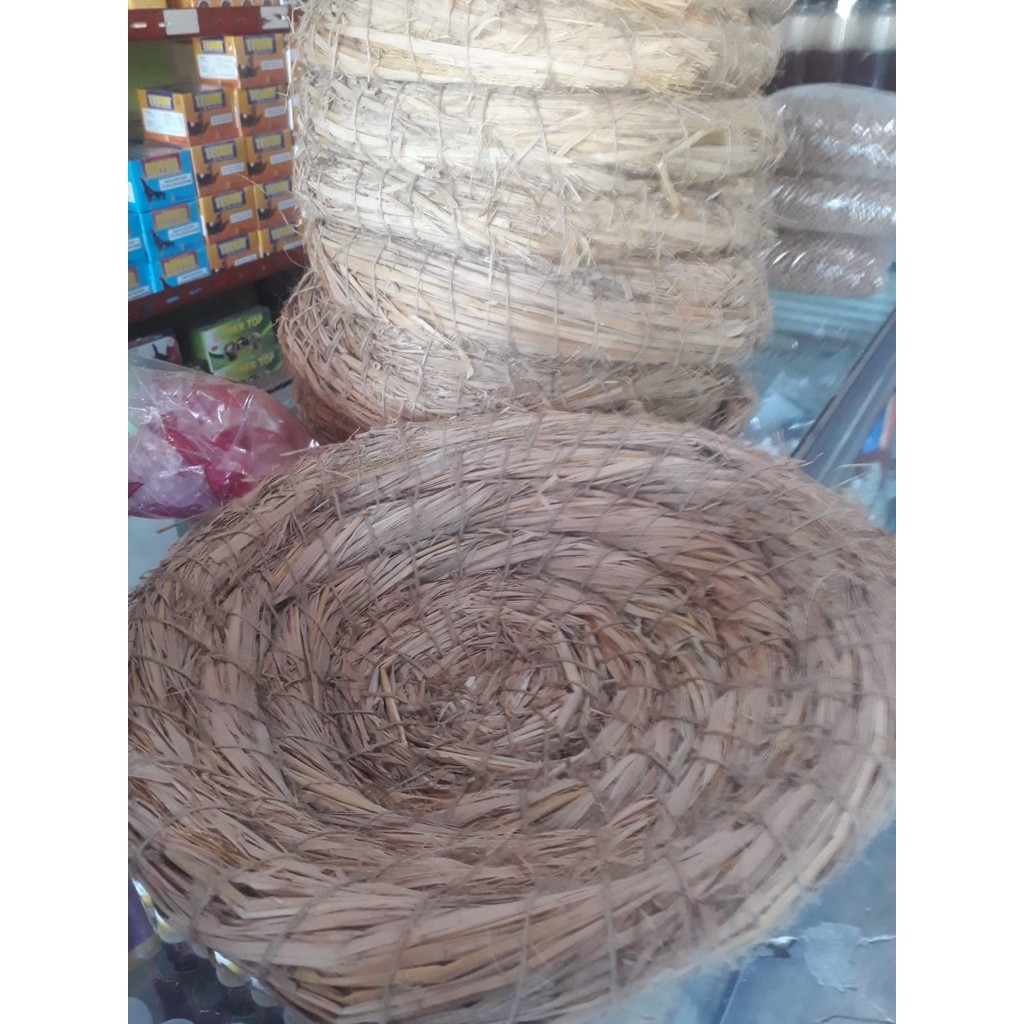 SARANG AYAM TARANGAN AYAM TEMPATBAYAM BERTELUR DAN MENGERAMI